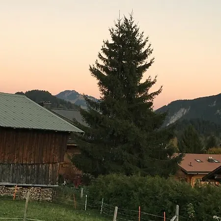 Studio Chalet Du Bonheur *