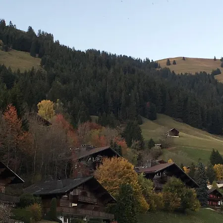 Apartmán Studio Chalet Du Bonheur *