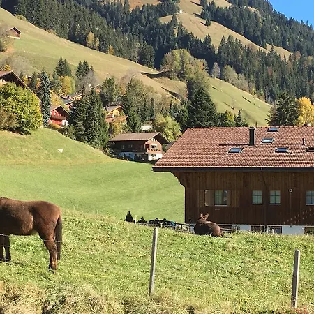 Apartman Studio Chalet Du Bonheur *