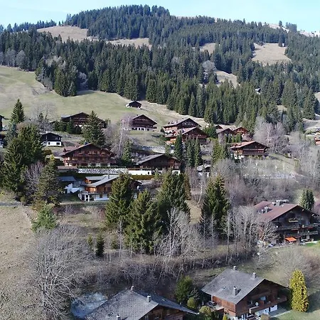 Studio Chalet Du Bonheur Apartman Rougemont