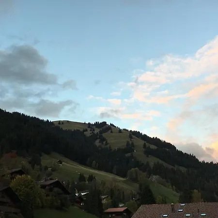Apartman Studio Chalet Du Bonheur