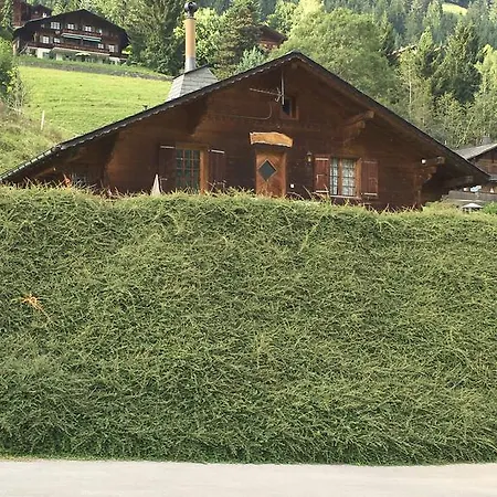 Studio Chalet Du Bonheur Apartment
